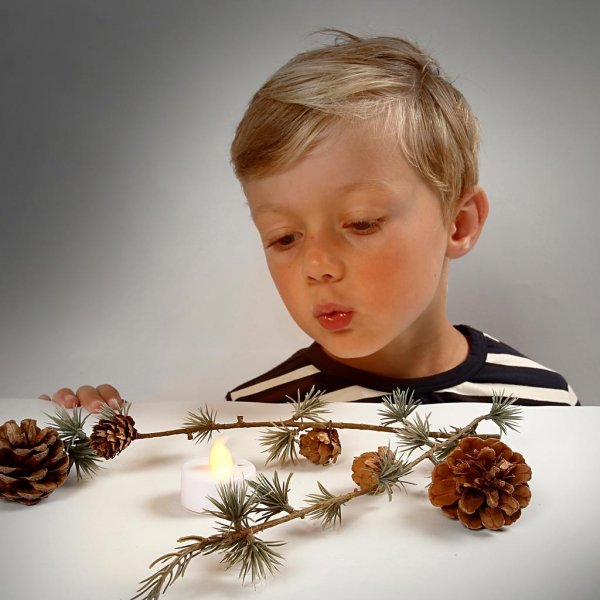 LED-Wärmelicht - weiß - 24 Stk LED-Wärmelicht - weiß - 24 Stk