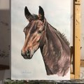 Kundenbild Aquarellfarbe W&N Cotman Half cup - 554 Rohes Umbra