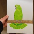 Kundenbild Aquarellblock, geklebte kaltgepresste B�gen, 300 g - A4