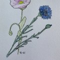Kundenbild Aquarell-Aquarellblock 180 x 240 mm