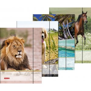 Ordner mit Gummiband - A3 Tiere Ordner mit Gummiband - A3 Tiere