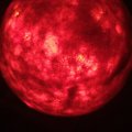 Kundenbild Reine Schurwolle 30 g - rot