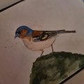 Kundenbild Aquarellstift Albrecht Dürer - 173 Olivgrün Gelblich