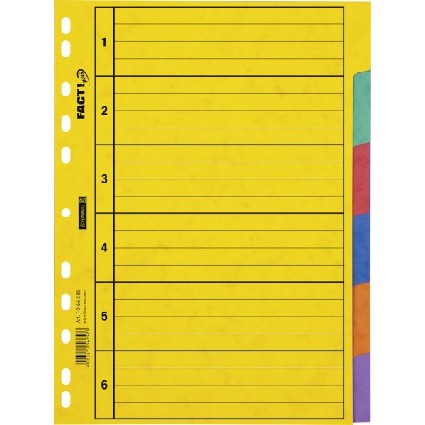 Register f�r Ringordner - A4-Hartfaserplatte - 6 Register