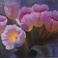Kundenbild Ölfarbe W&N Winton 37ml - 502 Permanent Rose