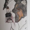 Kundenbild Aquarellblock RH - A3, 297 x 420 mm