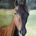 Kundenbild Aquarellfarbe Sennelier 10 ml - Saftgrün (819)