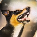 Kundenbild Pastellstift PITT - 182 Brauner Ocker