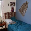 Kundenbild Velours-Tierfell - Gepard