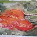 Kundenbild Aquarellblock, geklebt, rauer Hain, Bögen, 300 g - A4