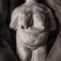 Kundenbild Sculpey Original Clay 800g - Weiß