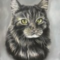 Kundenbild Pastellkreide PITT - Black Soft