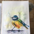 Kundenbild Aquarellfarbe W&N Cotman 8 ml Tube - 654 Türkis