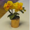 Kundenbild Modell Fimo Soft 57g - Gelb