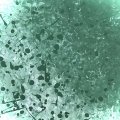 Kundenbild Acrylfarbe Campus 100 ml - Titanweiß (116)
