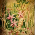 Kundenbild Aquarellfarbe W&N Cotman Studio-Set