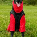 Kundenbild Wellness-Fleece Rot - 150 cm