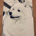 Kundenbild Copic Ciao - C-3 - Cool Grey Nr. 3
