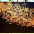 Kundenbild Amsterdam Acrylfarbe 120 ml - Oxidschwarz