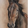Kundenbild Farbstift Polychromos - 186 Terrakotta