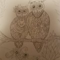 Kundenbild Toison D'or Bleistift - 6B