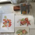 Kundenbild Doppelseitige Aquarellstifte Design Journey - 18 Stifte