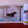 Kundenbild Schutzspray - 400 ml (Spray)