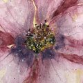 Kundenbild Canson XL Aquarelle 300g - A4