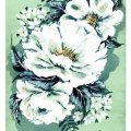 Kundenbild Canson Montval 300g feine K�rnung - 40x50 cm
