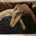 Kundenbild Canson Mi-Teintes Touch 350g 50x65 cm - Grau