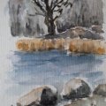Kundenbild Aquarellfarbe W&N Cotman 8 ml Tube - 552 Raw Sienna