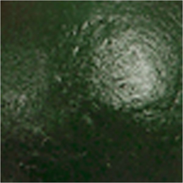 Schulfarbe - Acryl - dunkelgrün - glänzend - 500 ml Schulfarbe - Acryl - dunkelgrün - glänzend - 500 ml