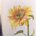 Kundenbild Aquarell-Aquarellblock 360 x 480 mm