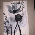Kundenbild Acrylfarbe Sennelier Abstract 120ml - Titanweiß (116)
