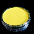 Kundenbild PanPastel - Hansa Yellow