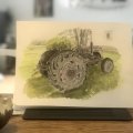 Kundenbild Aquarellfarbe W&N Cotman Half Cup - 314 Hooker's Green Light
