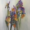 Kundenbild Aquarelllack matt - 75 ml