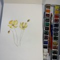 Kundenbild Aquarellfarbe W&N Cotman Half Cup - 266 Gamboge-Farbton
