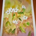Kundenbild Aquarellblock, geklebte kaltgepresste B�gen, 300 g - A4