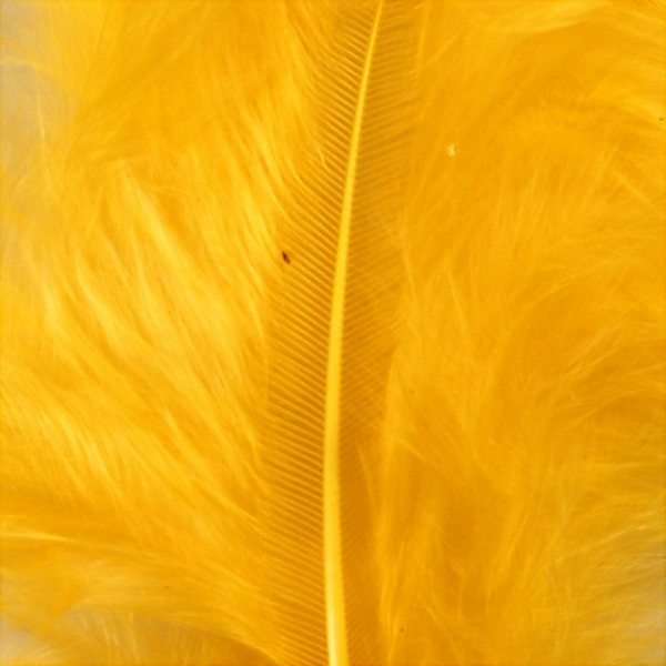 Daunen - gelb - 15 Stk Daunen - gelb - 15 Stk