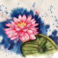 Kundenbild Aquarellfarbe W&N Professional 5 ml Tube - 502 Permanent Rose