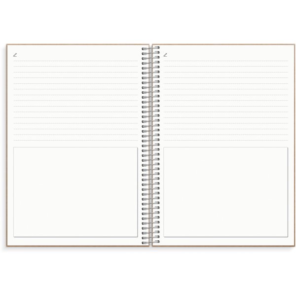 Bilanzprotokoll Bilanzprotokoll