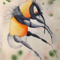 Kundenbild Aquarellblock, geklebte kaltgepresste B�gen, 300 g - A4