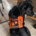 Kundenbild Beaver-Nylon - Farbcode: 3 - Orange - 150 cm