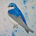 Kundenbild Aquarellblock Kaltgepresste Bögen 300g - 18x26 cm