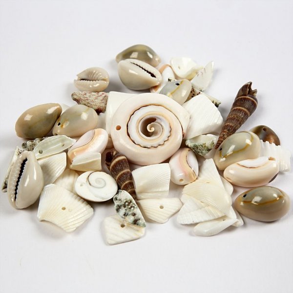 Strandmuscheln - 120 g