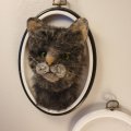 Kundenbild Katzenaugen ø 10 mm - grün 4 Stk.