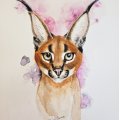 Kundenbild Canson XL Aquarelle 300g - A3