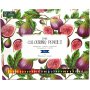 Sense Buntstifte - 36 Stifte Sense Buntstifte - 36 Stifte