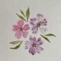 Kundenbild Aquarellfarbe W&N Professional Halbbecher - 491 Permanent lila